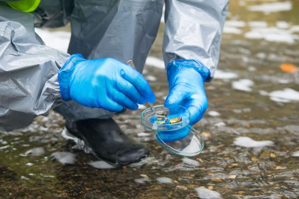 Innovación e investigación acuicultura
