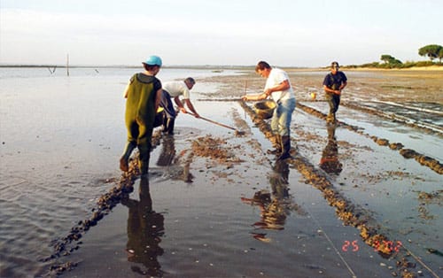Acuicultura tierra firme