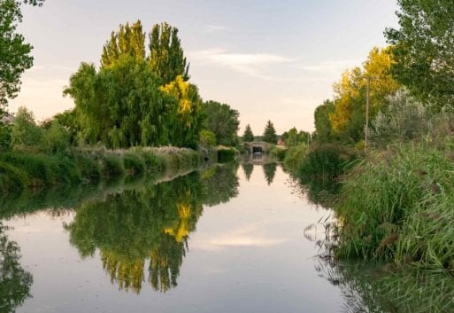 Descubre la acuicultura de Castilla y León: líder en acuicultura continental