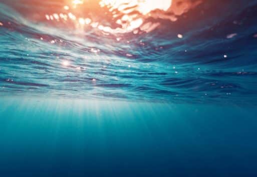 La importancia de la acuicultura ante el día de los océanos