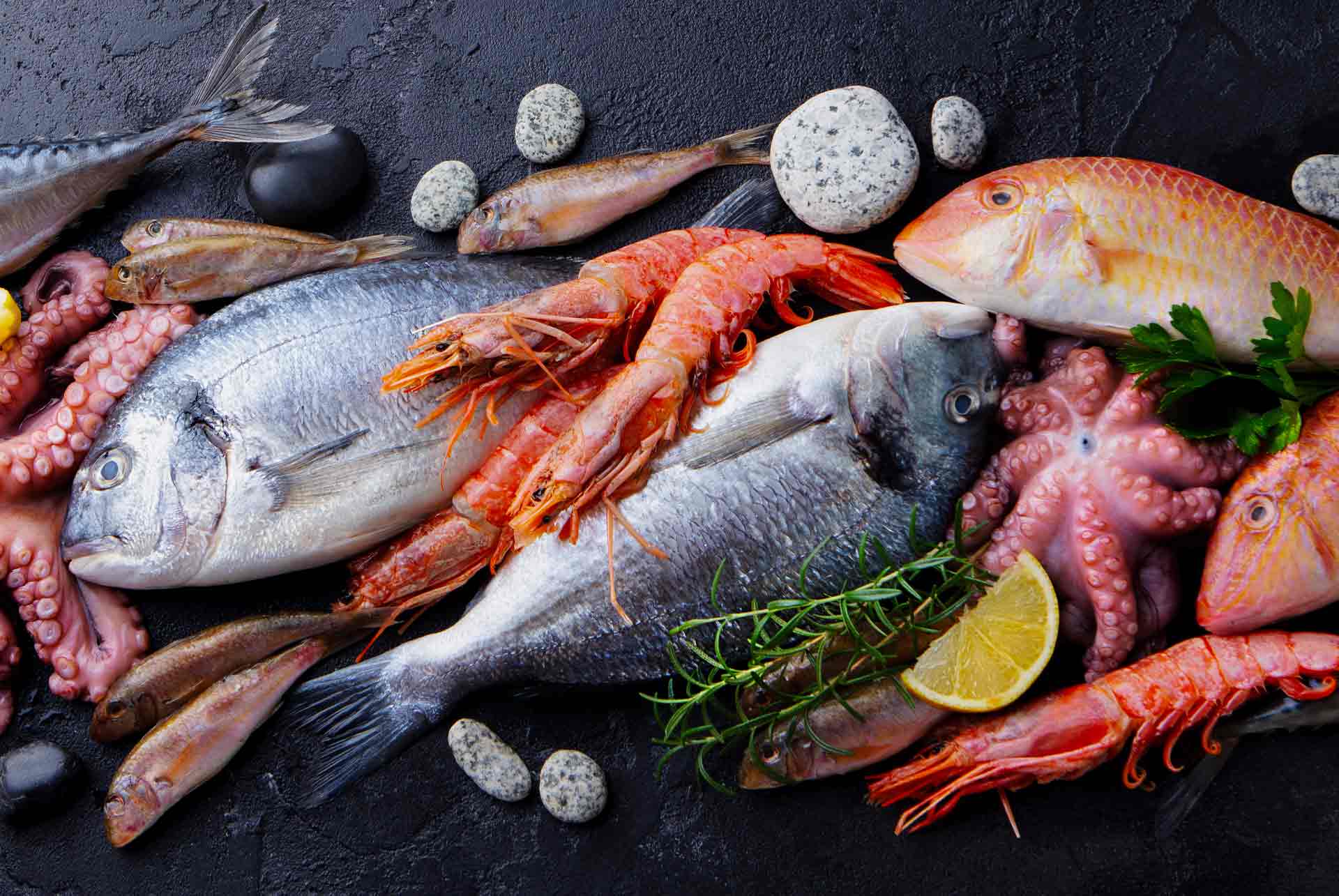 El pescado fuente de nutrientes Acuicultura de España
