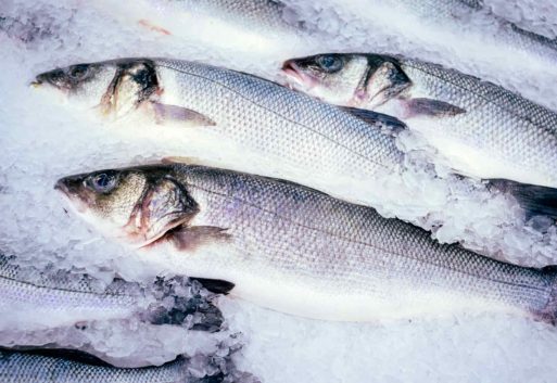 Las características del pescado fresco de acuicultura 