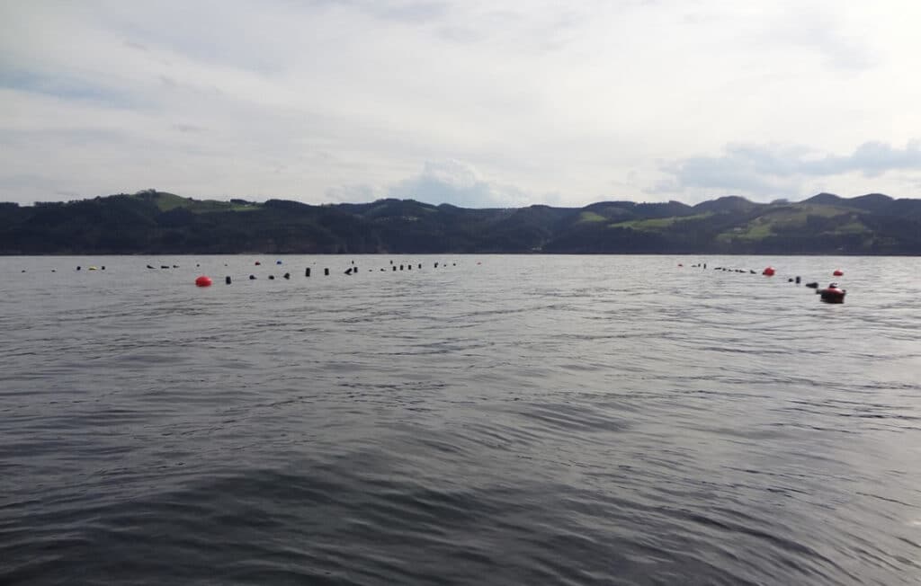 Viaje por la acuicultura en el País Vasco