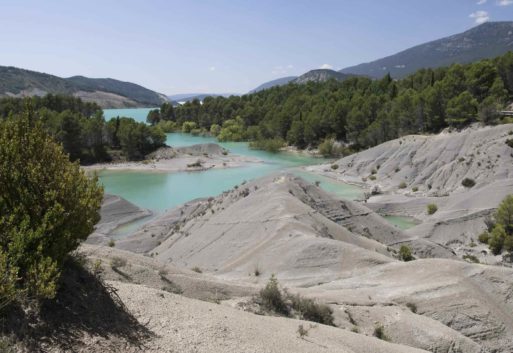 La acuicultura en Navarra: de los pirineos a las mejores mesas
