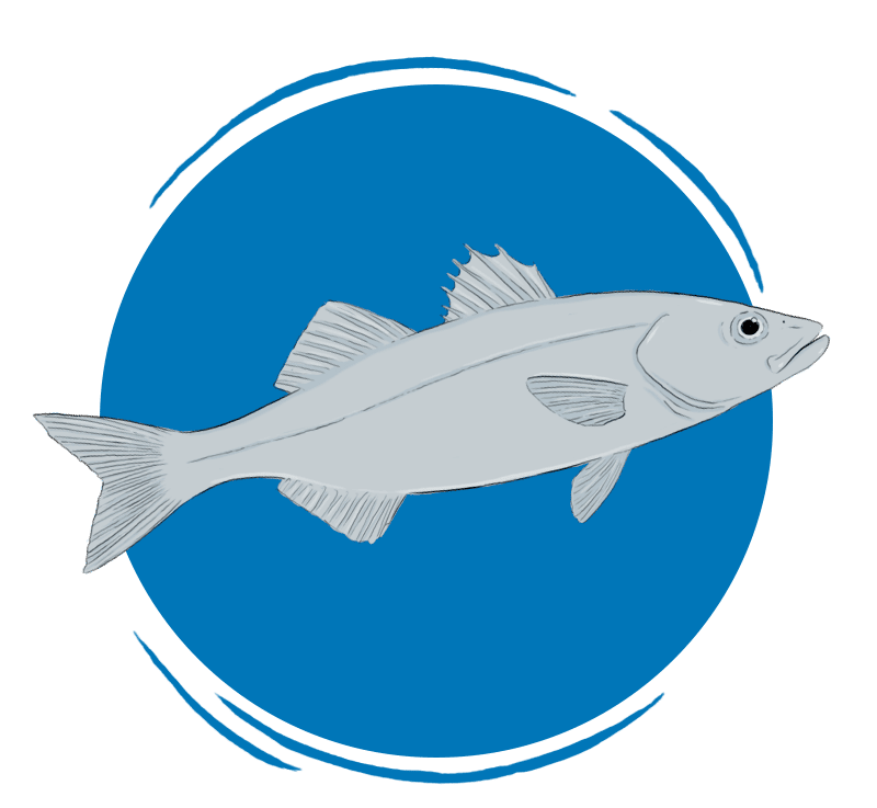 Dibujo de pez de acuicultura