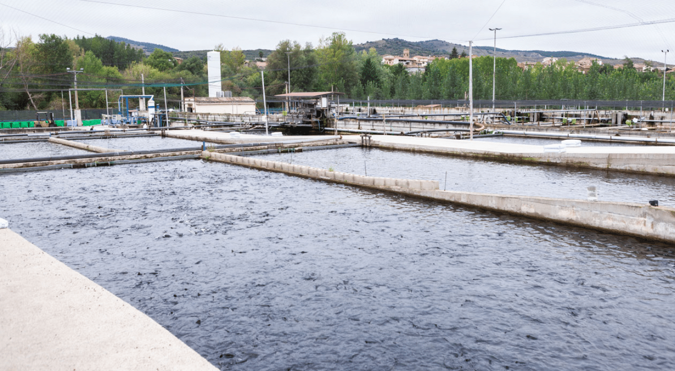 Granja de acuicultura en zona rural de España