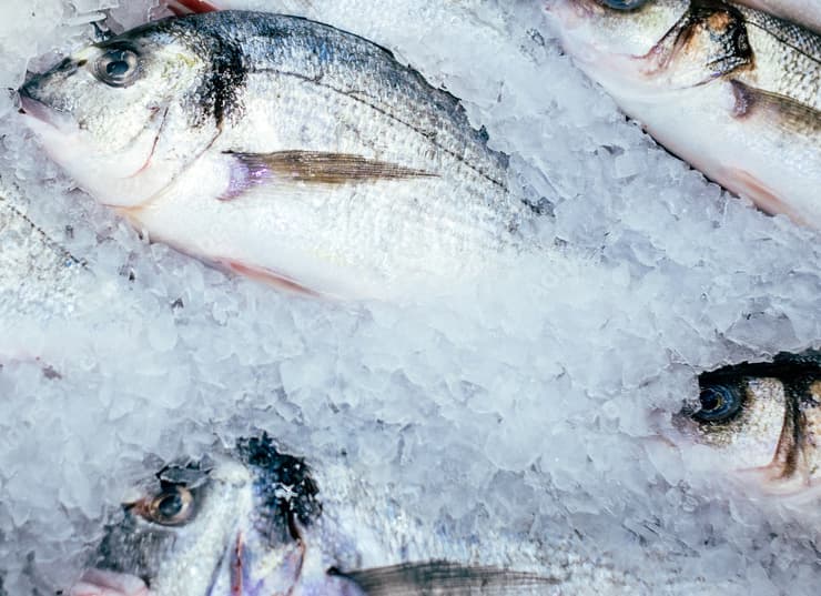 Pescado con Proteínas de alta calidad