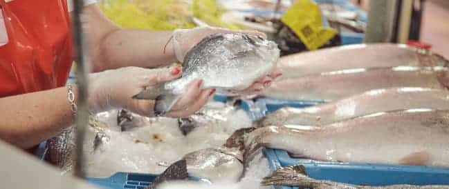 Pescado de acuicultura