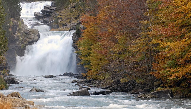 bosque con cascada