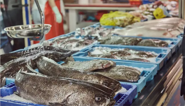 beneficios pescado de acuicultura